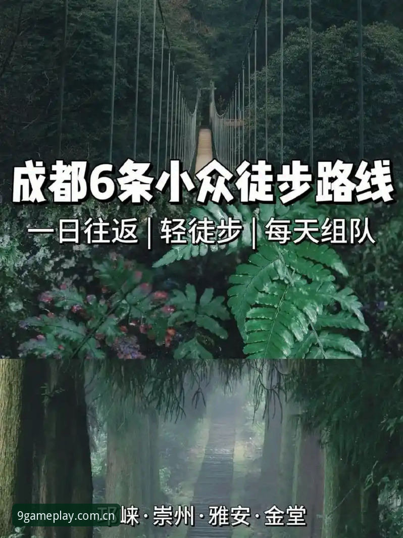 九游平台入口登录不迷路：一份实在的手游加速APP使用教程